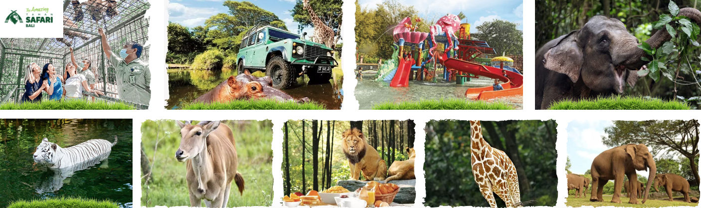 タマンサファリ&マリンサファリ Taman Safari & Marine Safari