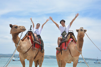 キャメルアドベンチャー　Camel Adventure|バリ島　オプション