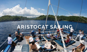 バリハイ・アリストキャットAristocat-The Luxury Sailing Catamaran(Lembongan Island)